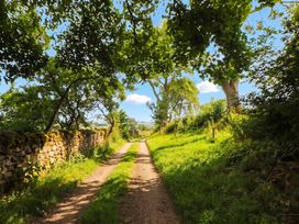 A dirt path surrounded by trees and stone wall at Claybottom Farm in Hesket Newmarket