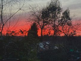 A garden with trees silhouetted against a sunset at Fables Cottage Otley, Suffolk