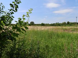 A view of a grassy field and plants under a blue sky