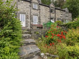 An outdoor area with stone steps and flowers at Awelfryn in Betws-y-Coed
