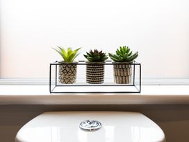 A display of three plants on a window sill above a toilet at 38 Ashville Avenue, Scarborough