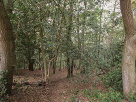 A wooded area with trees and fallen leaves at Plot 13A