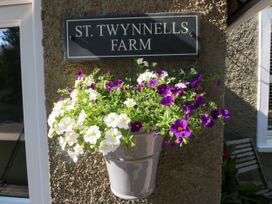 A flower pot with flowers at St.Twynells Farm in Pembroke