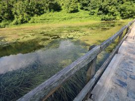 A water body with lily pads and wooden railing at St.Twynells Farm in Pembroke