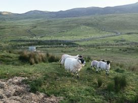 Sheep grazing in a field at Sliabh League Mountain Lodge TEILEANN near Kilcar, County Donegal