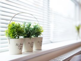 A windowsill with artificial plants in decorative pots at 53 Hampton Road in Scarborough