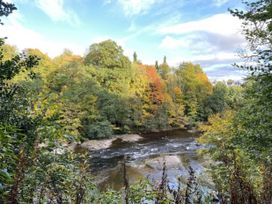 A river flowing through a forest with trees at Blairgowrie Luxury 3 Bed Lodge with Hot Tub, Blairgowrie