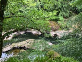 A stream with rocks and trees in a forest setting at Blairgowrie Luxury 3 Bed Lodge with Hot Tub, Blairgowrie