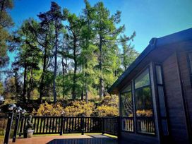 A deck view with trees in the background at Dunoon 3Bed Lodge Sleeps 6 Pet Friendly near Dunoon