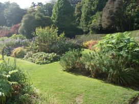 A garden with various plants and a pathway at Cosy 3 Bedroom House on Cornish estate with pool in St Tudy