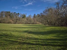 An expansive grassy area with trees in the background at Builth Wells