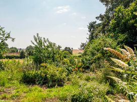 A garden with various plants at Alpaca Farm Valley Views Sleeps 4 Parking Pets in Husthwaite