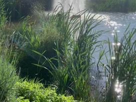 A pond with a fountain surrounded by grass and reeds at Charming Caravan in beautiful Seton Sands Cockenzie And Port Seton