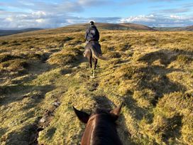 A person riding a horse on a path in a grassy area with hills at Brimble Cottage at Dockwell Farm near Widecombe-In-The-Moor