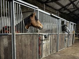 Two horses in stalls at Brimble Cottage at Dockwell Farm near Widecombe-In-The-Moor
