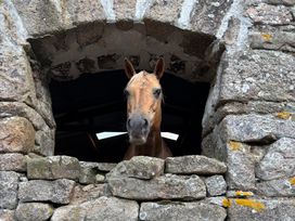 Brimble Cottage at Dockwell Farm - Devon - 1207722 - thumbnail photo 31