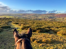 A view of hills and grass from the perspective of a horse with a dog in the distance at Brimble Cottage at Dockwell Farm near Widecombe-In-The-Moor