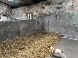 A barn with straw on the floor and a dog in the corner at Brimble Cottage at Dockwell Farm near Widecombe-In-The-Moor