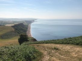 A coastal view with a cliff and sea near Charmouth