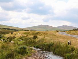 A landscape with sheep grazing near a stream and a road at Little Moorgate in Okehampton