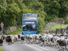 A bus stopped on a road with sheep crossing in Keswick