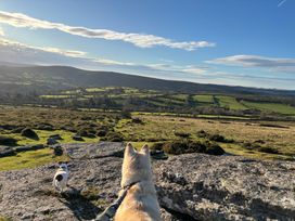 Two dogs looking out over a landscape at Dashel Cottage at Dockwell Farm, Widecombe-In-The-Moor