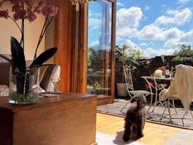 A living room with a door opening to a deck and a dog at The Old Chapel of Ermington