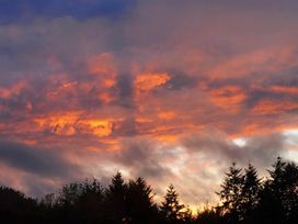 A sunset with clouds and trees at the horizon
