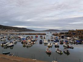 A harbor with boats in the water at a coastal area