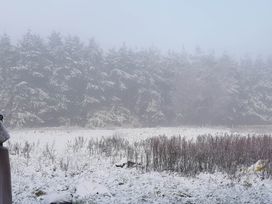 A snowy field with trees in fog at 3 Bedroom Cottage Hot Tub Garden Parking Dunkeswell