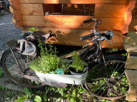A bicycle with plants attached in a garden setting at 