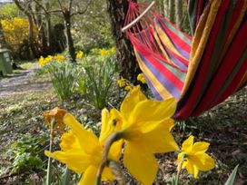 A hammock beside daffodils in a garden