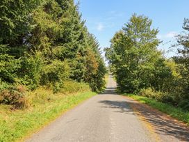 A road lined with trees and grass in Carnforth
