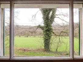A view from a window showing a tree and open field at Llys Gwaun Fishguard