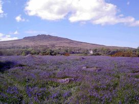 A landscape with purple flowers and a mountain in the background at Llys Gwaun in Fishguard