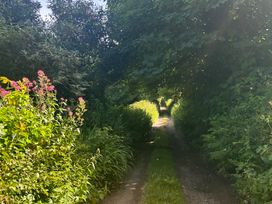 A path surrounded by flowers and greenery at The Old Forge in Bickerton near East Prawle