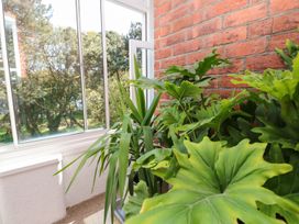 A conservatory with plants and window at The Pines in Bournemouth
