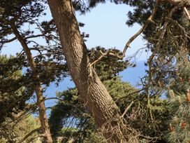 Trees overlooking the sea at The Pines in Bournemouth
