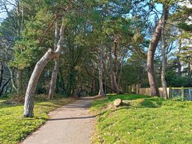 A path surrounded by trees with a fence at The Pines in Bournemouth