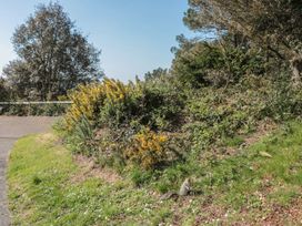 A path beside bushes and a squirrel at The Pines in Bournemouth