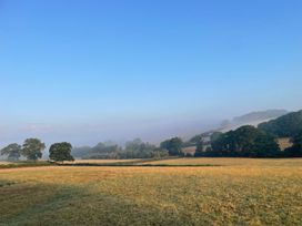 A clear view of a field with trees and distant hills under a blue sky
