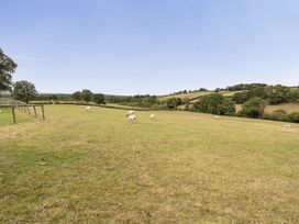 A pasture with sheep grazing at 16th Century Devon Farmhouse Stunning Views Winkleigh