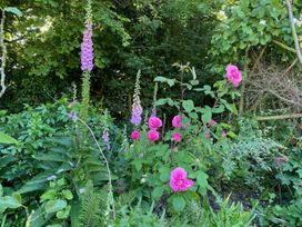 A garden with various flowers and plants at Pet Friendly 3Bed Barn Sleeps 7 Parking Garden in Westhall near Halesworth