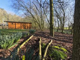 A garden with a wooden shed and trees at Woodland View Dog Friendly Nr Sutton on Sea, Thurlby near Alford