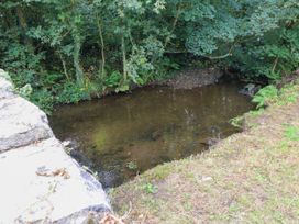 A stream surrounded by trees and grass at Felin Bach Aberdaron