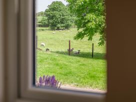 A view from a window showing sheep in a field at Bay Bungalow