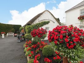 An outdoor view of Teresa's Cottage with flower pots and a decorative garden in 