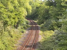 A view of railroad tracks surrounded by trees and bushes