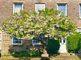 A house with a tree and windows at Muddy Boots – Arcade Royale in Kirby Stephen