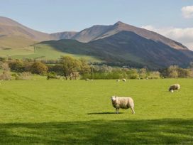 A field with sheep grazing and mountains in the background at Muddy Boots – Scarpa Kirkby Stephen